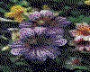 IMG029.GIF.cst.iff