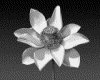 IMG028.GIF.gst.iff