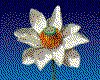 IMG028.GIF.cst.iff
