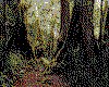 IMG027.GIF.cst.iff