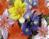 IMG026.GIF.cst.iff