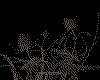 IMG025.GIF.cst.iff