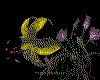 IMG024.GIF.cst.iff