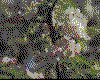 IMG022.GIF.cst.iff