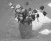IMG020.GIF.gst.iff