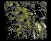 IMG019.GIF.cst.iff