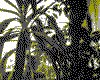 IMG017.GIF.cst.iff