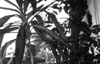 IMG017.GIF