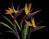 IMG016.GIF.cst.iff