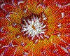 IMG015.GIF.cst.iff