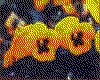 IMG009.GIF.cst.iff