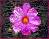IMG008.GIF.cst.iff