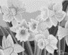 IMG005.GIF.gst.iff