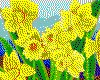 IMG005.GIF.cst.iff