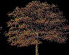 IMG003.GIF.cst.iff