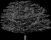 IMG001.GIF.gst.iff
