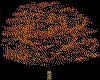 IMG001.GIF.cst.iff