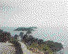 IMG118.GIF.cst.iff