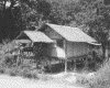IMG117.GIF.gst.iff
