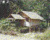 IMG117.GIF.cst.iff