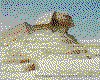 IMG114.GIF.cst.iff