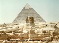 IMG113.GIF