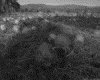 IMG112.GIF.gst.iff