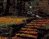 IMG110.GIF.cst.iff
