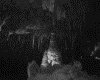 IMG109.GIF.gst.iff