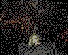 IMG109.GIF.cst.iff