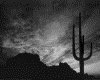 IMG107.GIF.gst.iff
