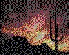 IMG107.GIF.cst.iff