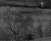 IMG106.GIF.gst.iff
