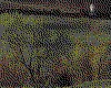 IMG106.GIF.cst.iff