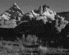 IMG105.GIF.gst.iff