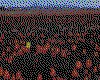 IMG104.GIF.cst.iff