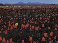 IMG104.GIF