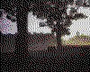 IMG101.GIF.cst.iff