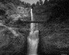 IMG100.GIF.gst.iff