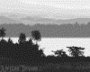 IMG097.GIF.gst.iff