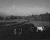 IMG096.GIF.gst.iff