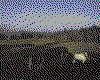IMG096.GIF.cst.iff