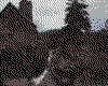 IMG093.GIF.cst.iff