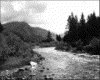 IMG092.GIF.gst.iff
