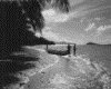 IMG091.GIF.gst.iff