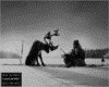 IMG085.GIF.gst.iff
