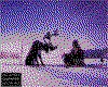 IMG085.GIF.cst.iff