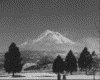 IMG084.GIF.gst.iff