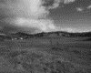 IMG080.GIF.gst.iff