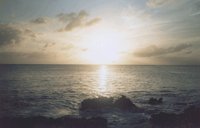 IMG079.GIF